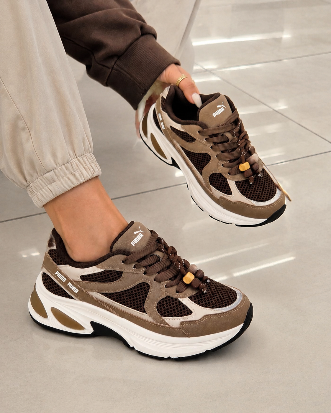 Puma castanho
